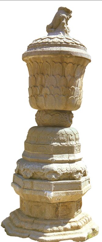 总有一种美会惊艳到时光,有一种玫瑰永不凋零