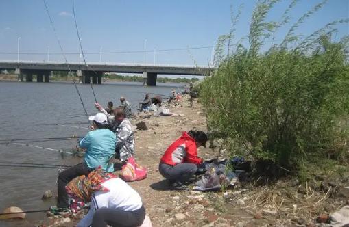 老大爷用什么饵钓鱼,老汉河边野钓饵料
