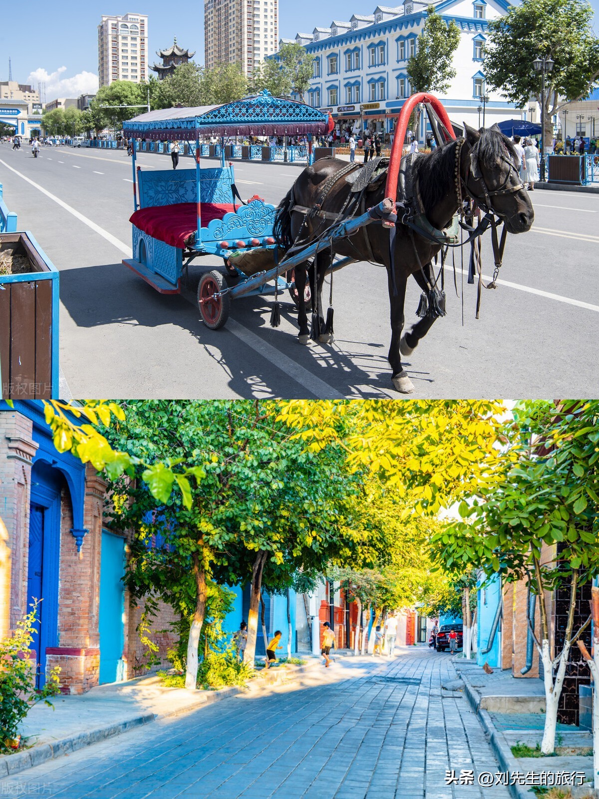 新疆伊犁春天满山遍野的花朵,伊犁的春夏秋冬美景