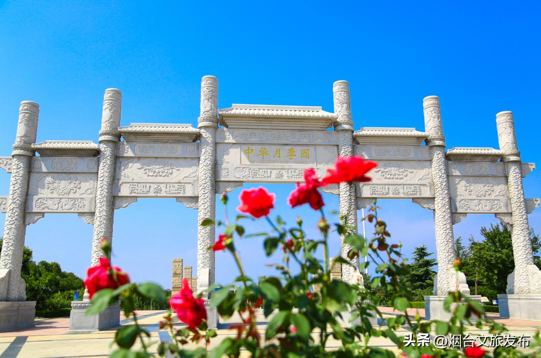 烟台文旅旅游,烟台文旅活动攻略