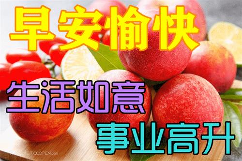 问候语祝福朋友的句子暖心,问候祝福朋友开心快乐的温馨句子