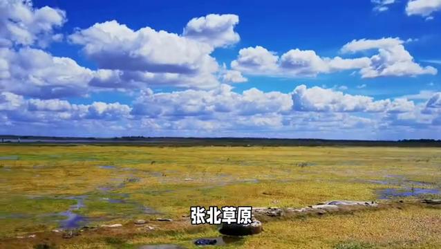 张北草原和坝上草原哪个更好,张北天路草原好还是乌拉盖草原好