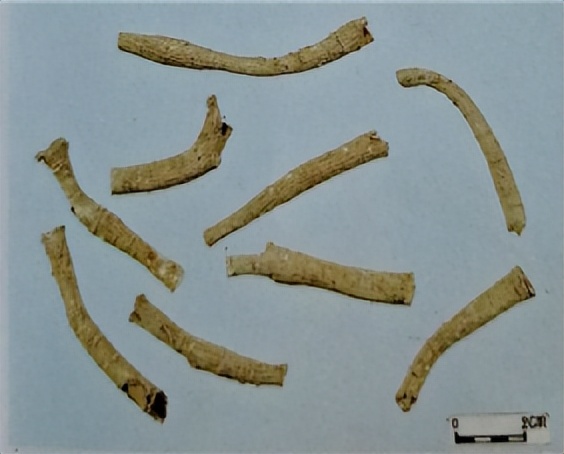 中医三七药材标准,三七真假对比图片三七主治