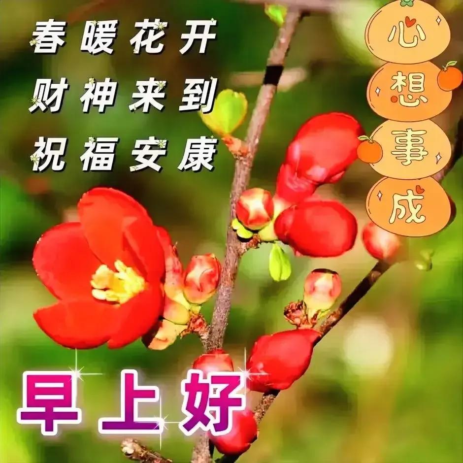 庚子日柱2023年癸卯年运势,癸卯年2023年哪个月出生最好