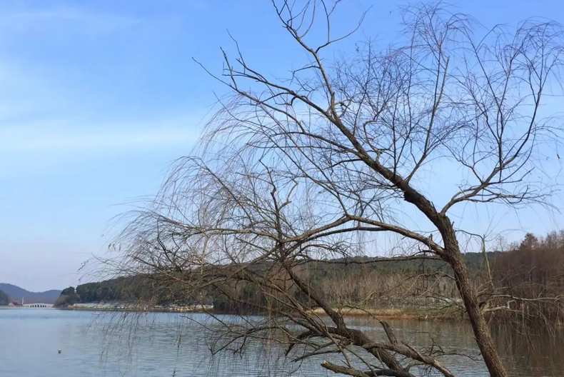 2023年是双春黑兔年吗,2023年是黑兔年说法是真的吗