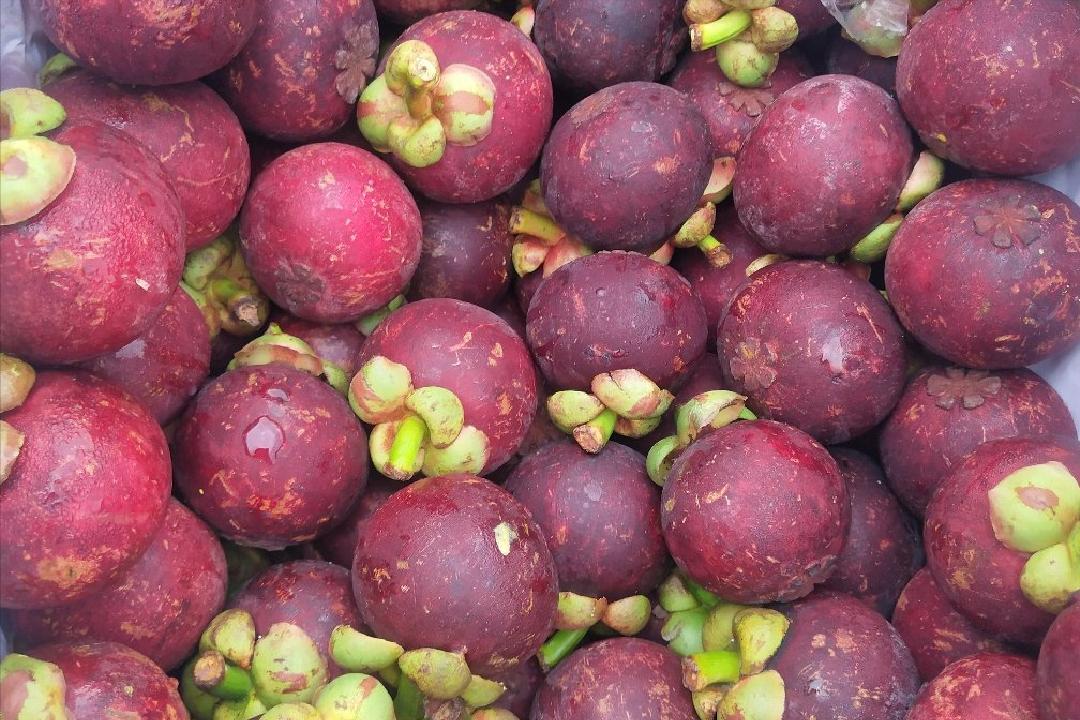 外国水果运到中国,澳洲水果出口中国