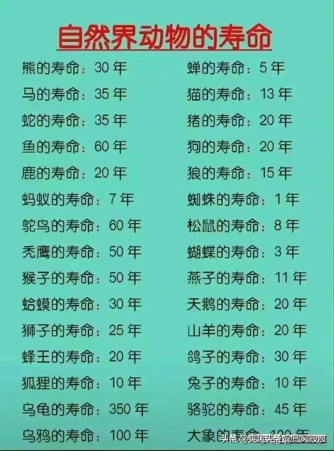 乌苏啤酒和青岛啤酒哪个好喝,雪花啤酒与青岛啤酒哪个好喝