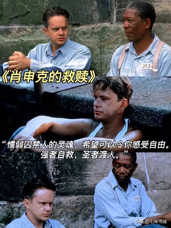 人生迷茫时期看的电影,盘点人生必看的四部高分电影