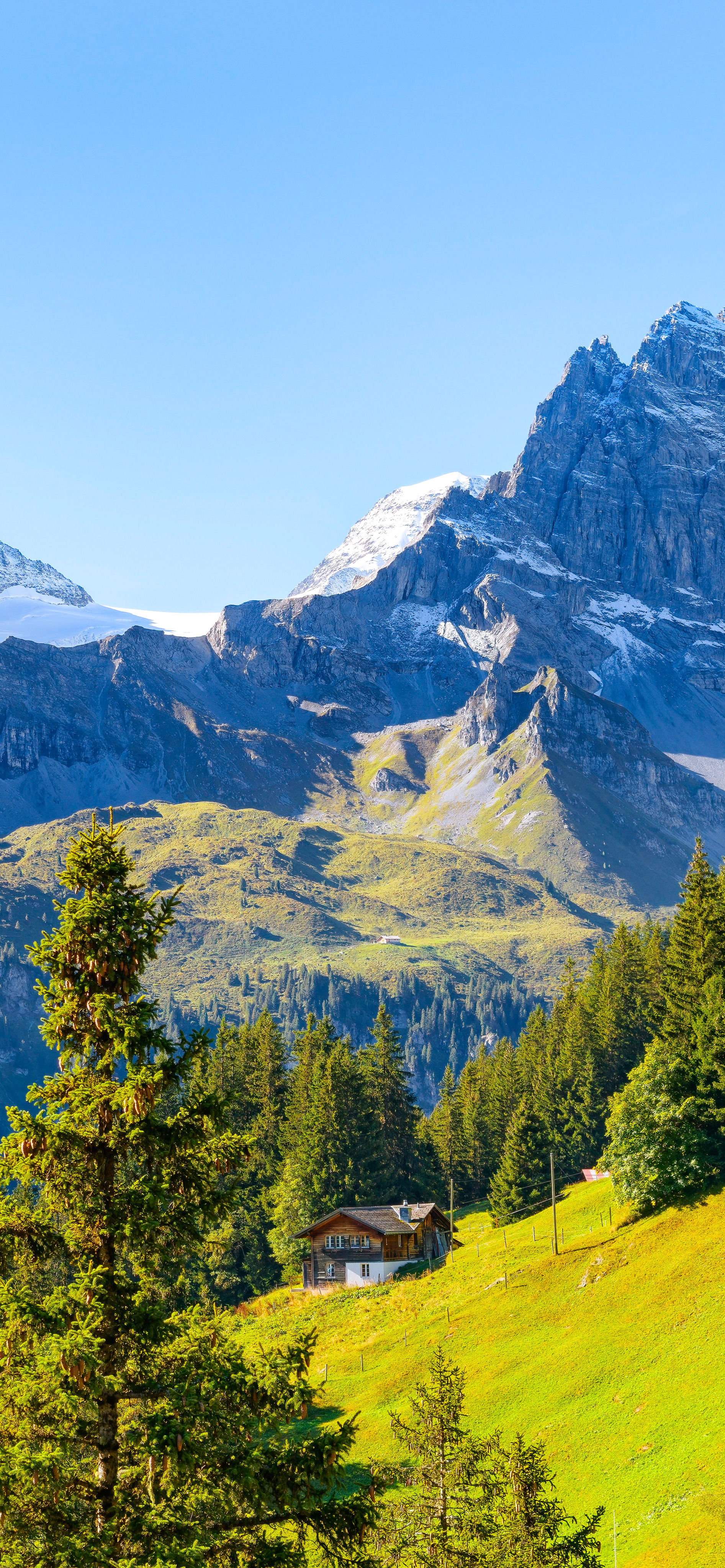 高清蓝天自然风景壁纸,动物自然风景高清壁纸
