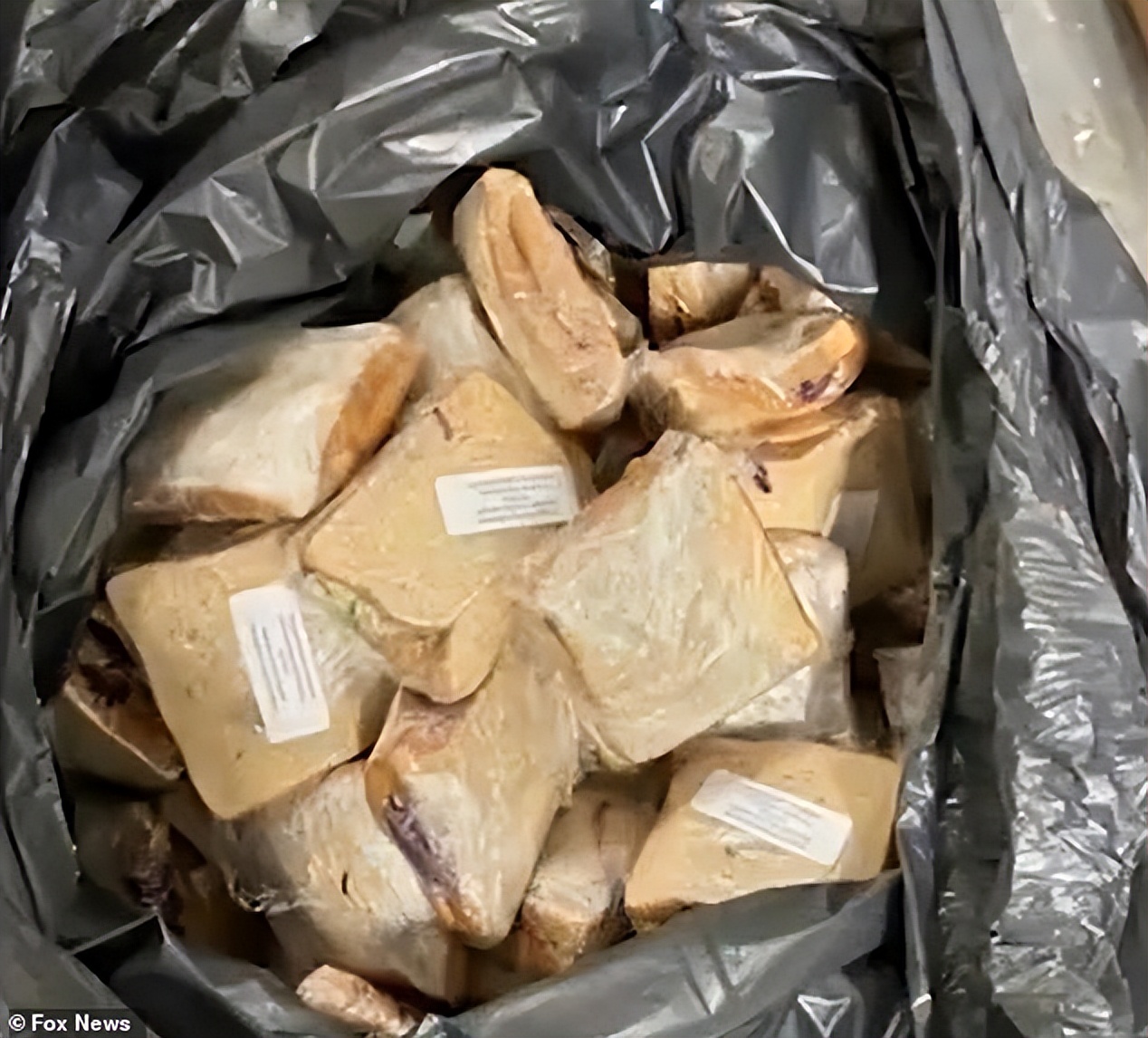 闈炴硶绉绘皯閰掑簵,缇庡浗闈炴硶绉绘皯閰掑簵