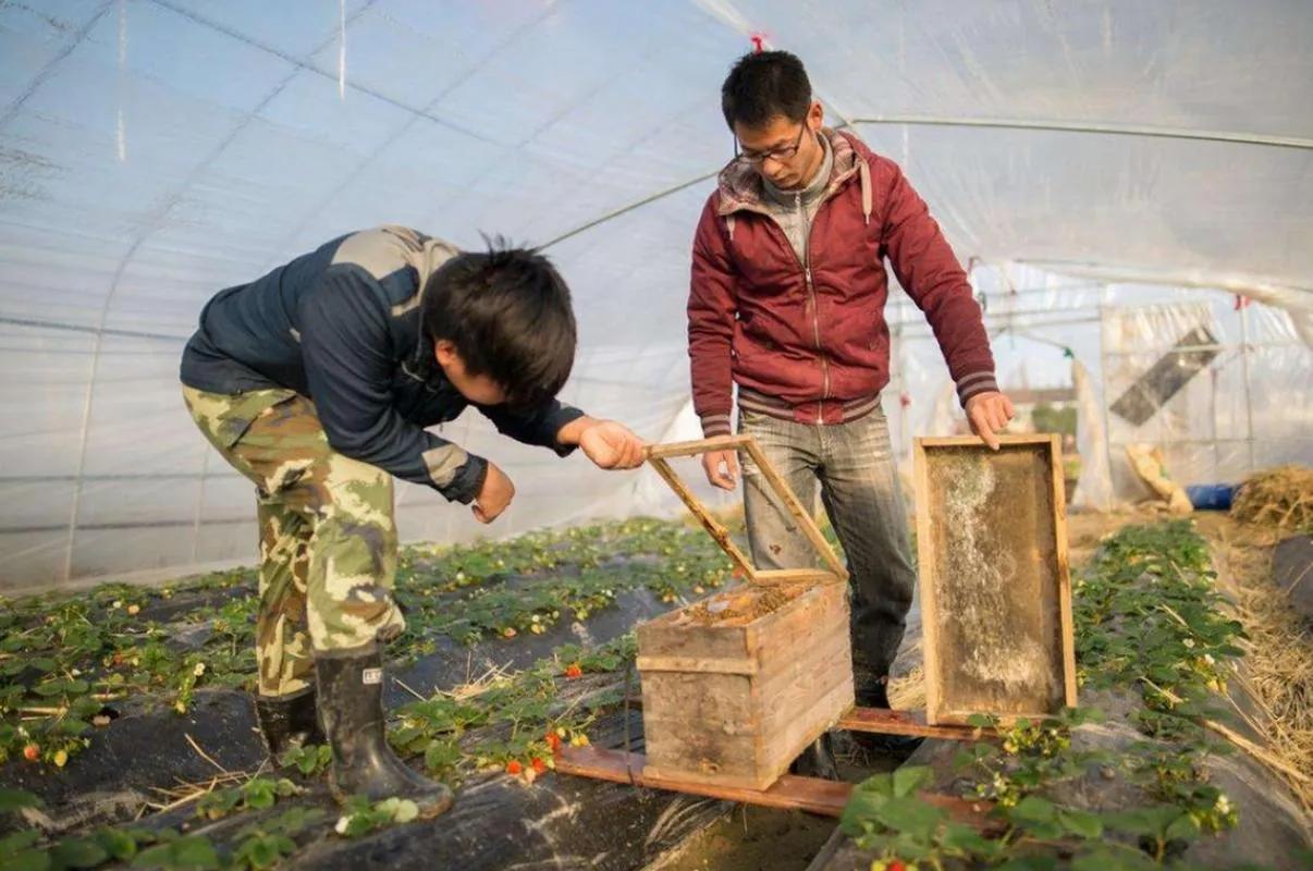 当前户口非转农都有哪些政策规定,农转非户口的最新政策到什么时候