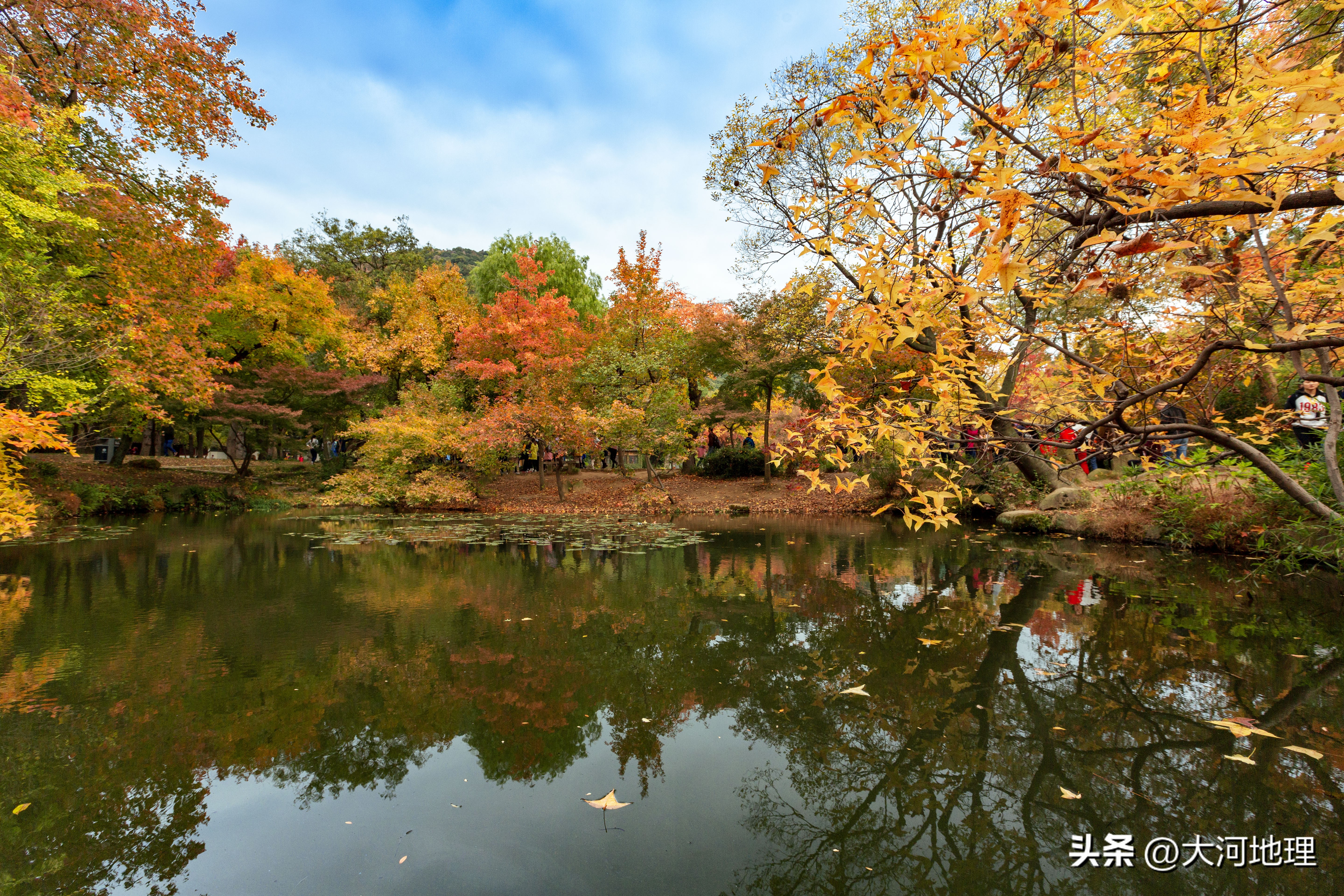 中国南方这30个景点,难说多知名,但敢说它的秋色最艳最浪漫