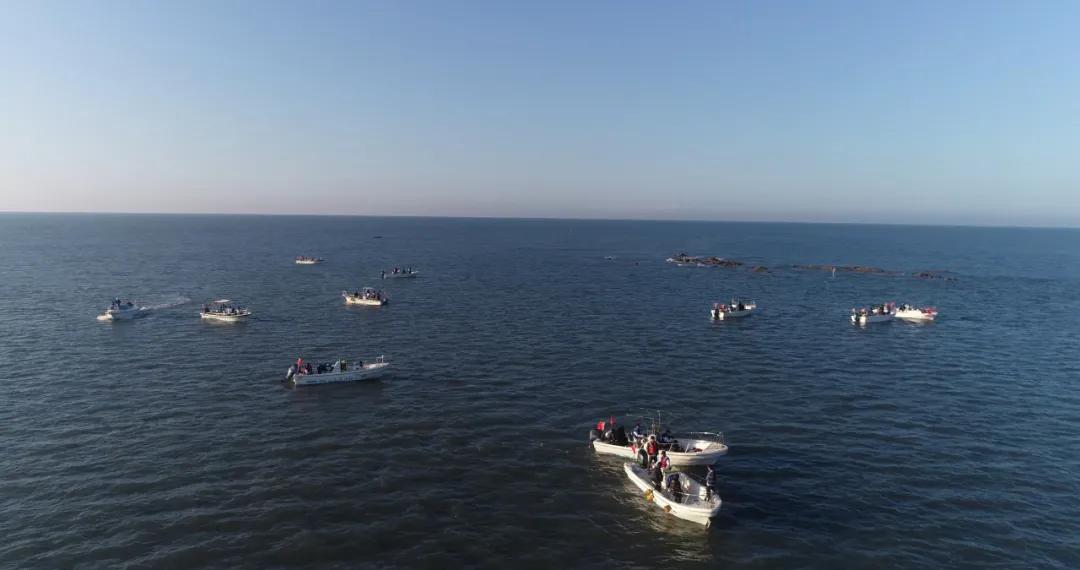 彩绘乒乓,乒乓嘉年华主题绘画