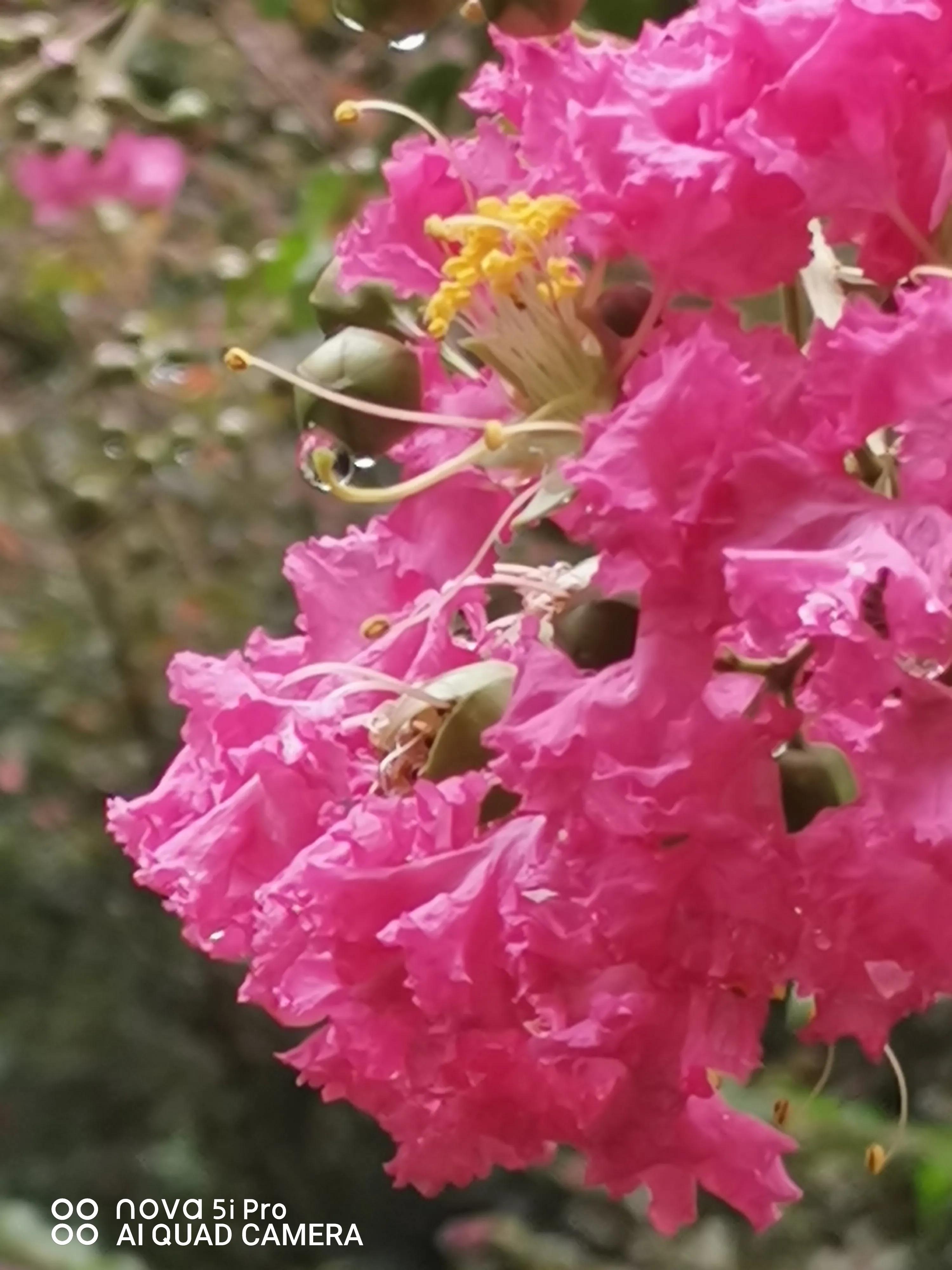 老子谈疾病,老子说生与死