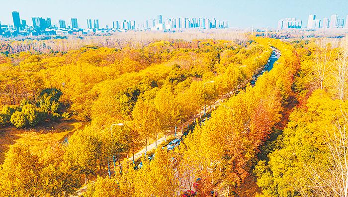 合肥市肥西县旅游景点,合肥旅游胜地有哪些