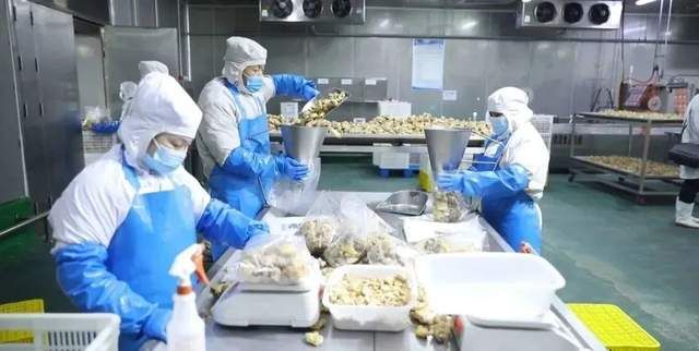 预制菜引进哪个学校了,预制菜产业全面发展