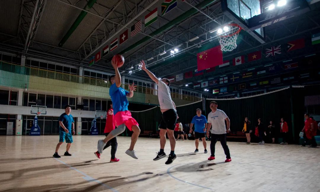 北京视联动力国际信息有限公司,视联动力杨春晖个人资料