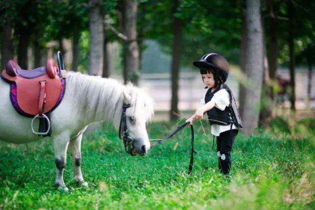 2023华杯赛夏令营,华誉外交官