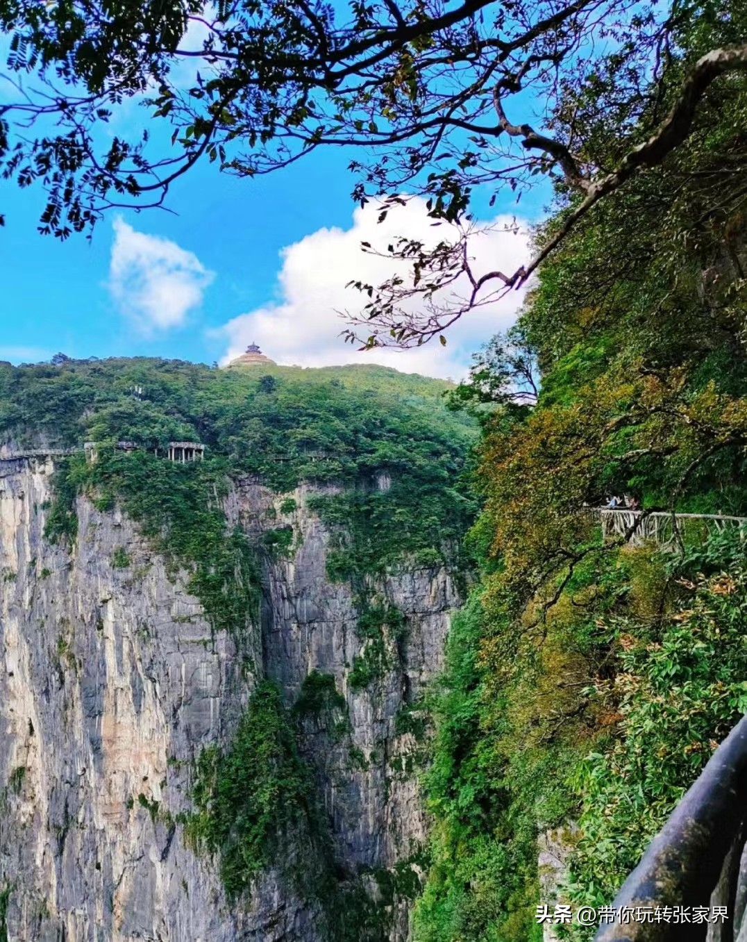 张家界5天4晚旅游攻略和费用明细,张家界旅游攻略和费用五天四晚