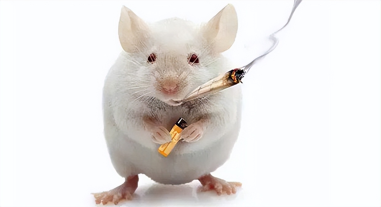 有没有男性避孕药,有没有男性避孕药吃一次管半年