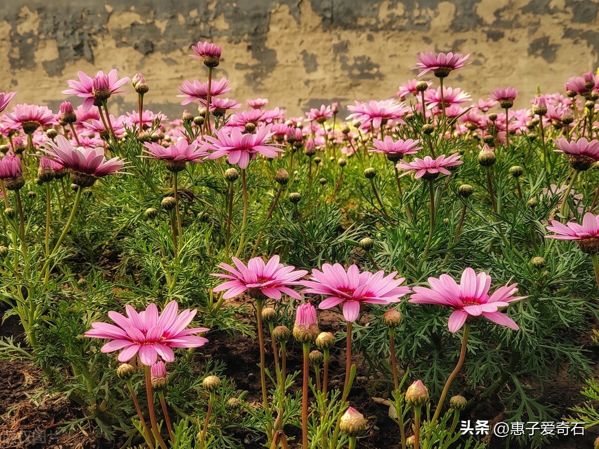 十首春天的诗词美得让人陶醉,关于春天的十首唯美诗词