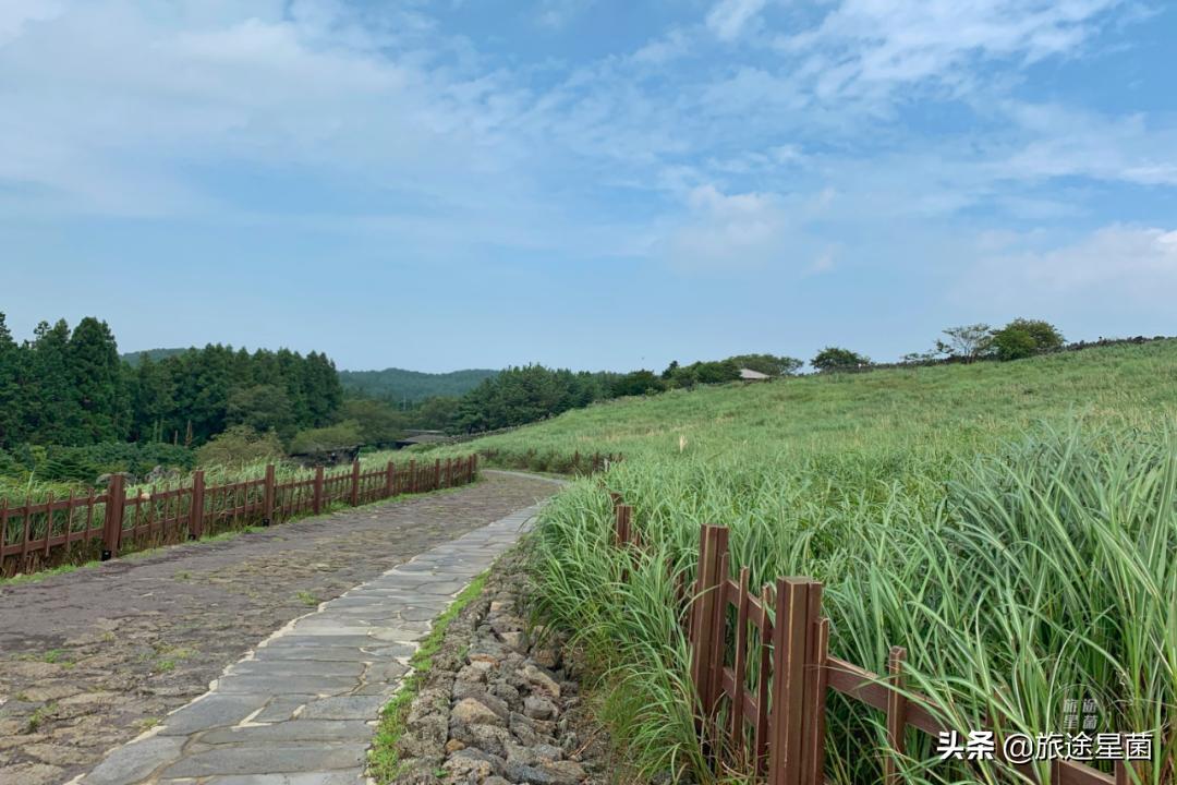 济州岛有雨季吗,韩国济州岛六月雨季