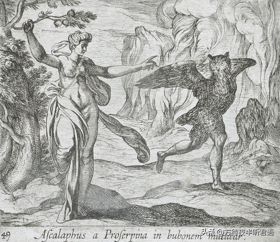 殷商三千年前,商朝为什么崇拜猫头鹰