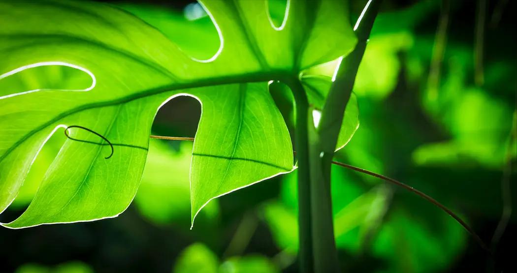 唤醒孩子内驱力的4部神级纪录片,励志纪录片推荐适合小学生