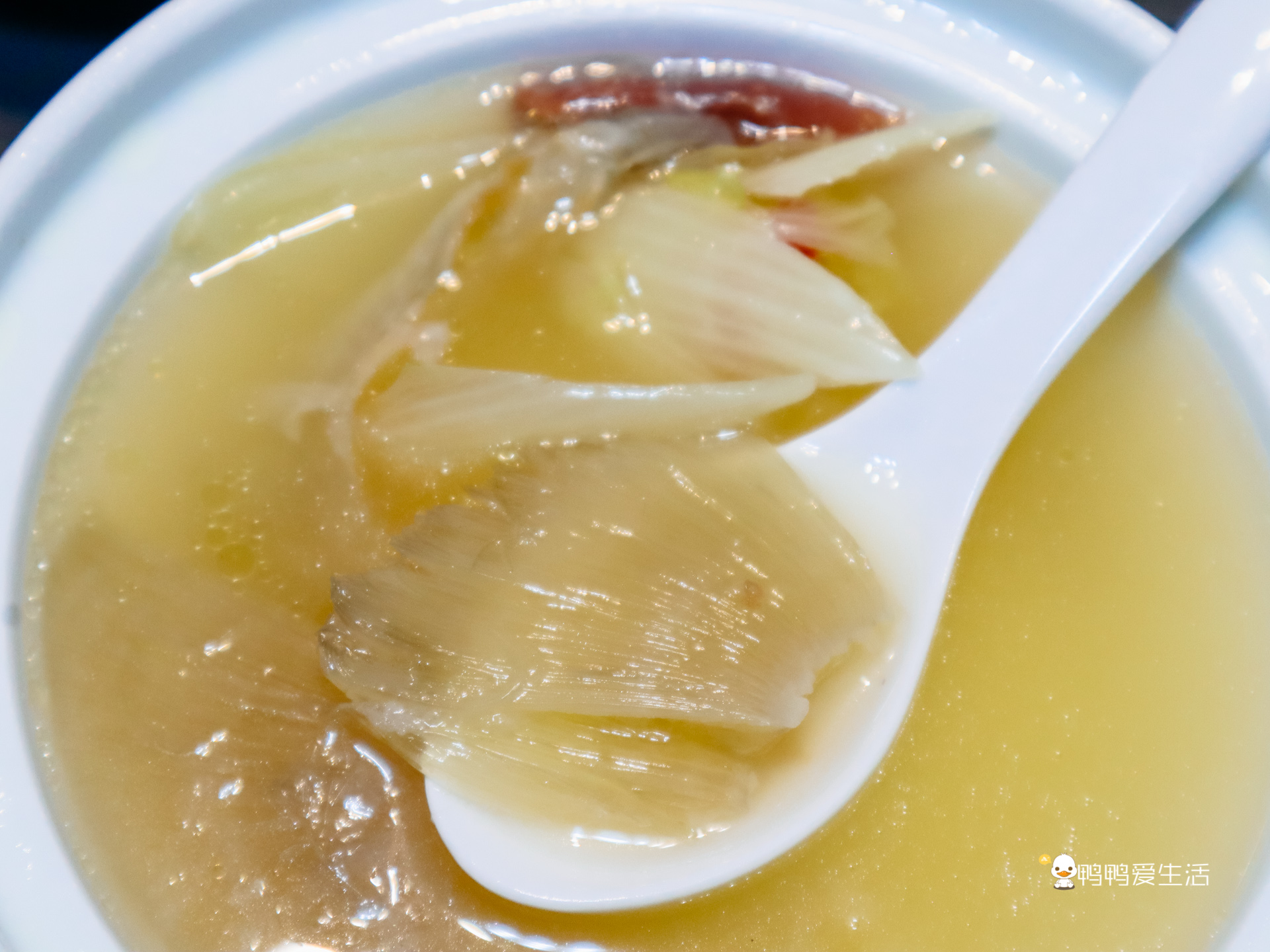 厦门这家巷子里的私房菜,厦门这家主打闽粤菜餐厅