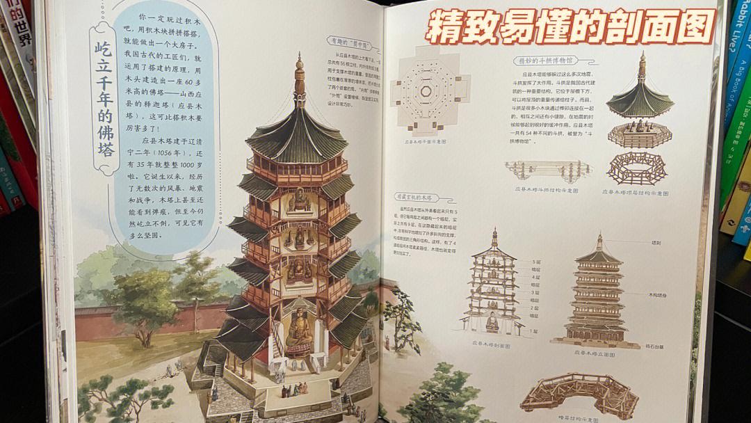 董宇辉给孩子推荐的历史书，每本都是直播间爆款，没介绍就卖光了