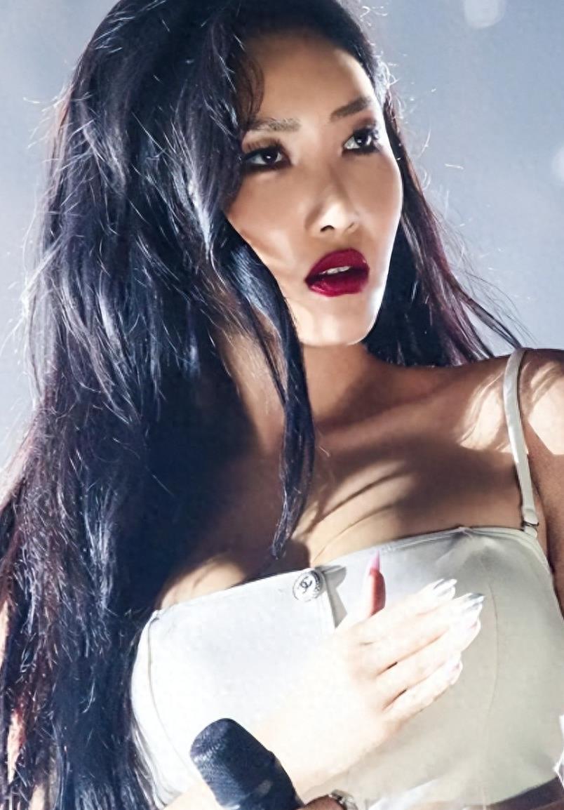 韩国女团成员华莎表演时突然蹲下抚摸*处私**，被警察骂为表演中无礼