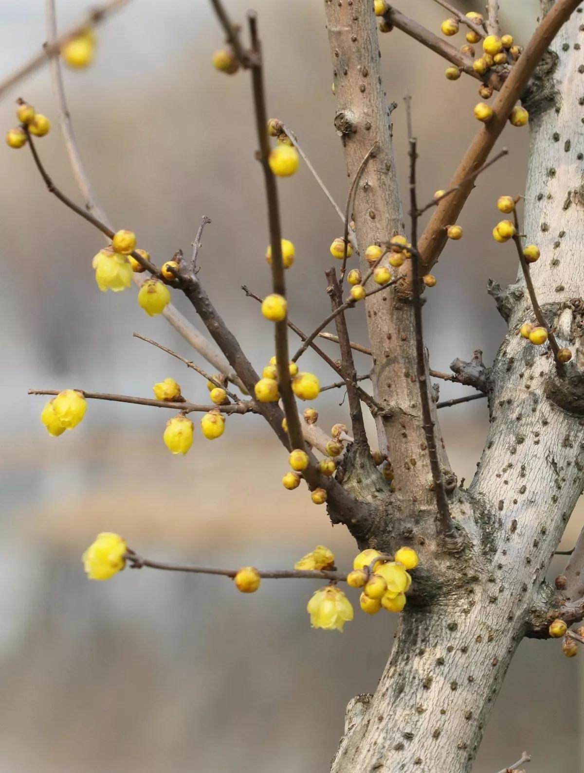 每日一句英语,每日一习