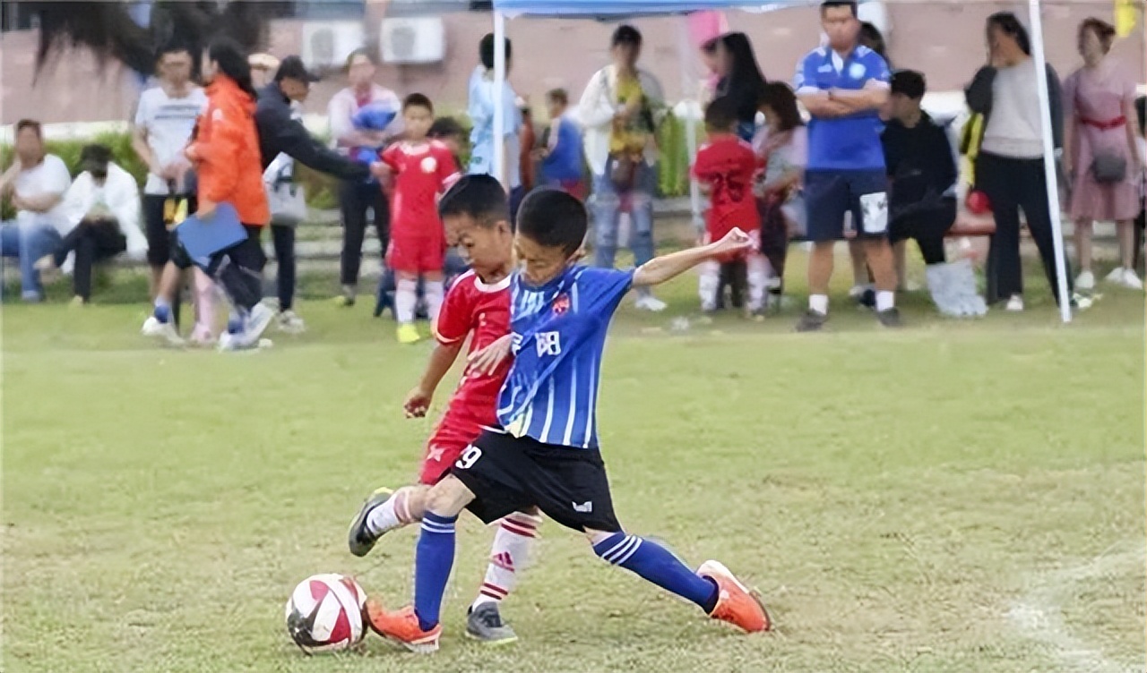 被米卢称赞的足球神童,周了了足球神童视频直播