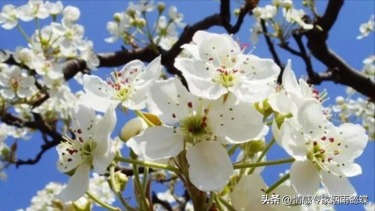 心理学教你六大识人法则,心理学中人和人之间真的有磁场