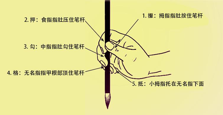 毛笔书法的用笔方法有几种,书法练字毛笔入门零基础执笔用笔