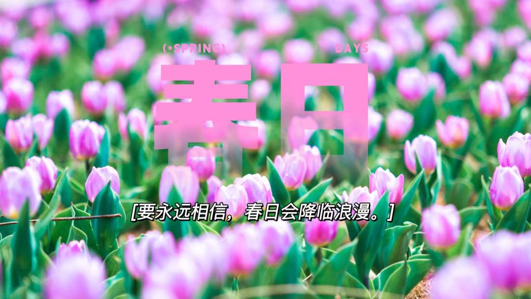 郁金香的花语是永远的爱,郁金香花语是永恒的爱与祝福