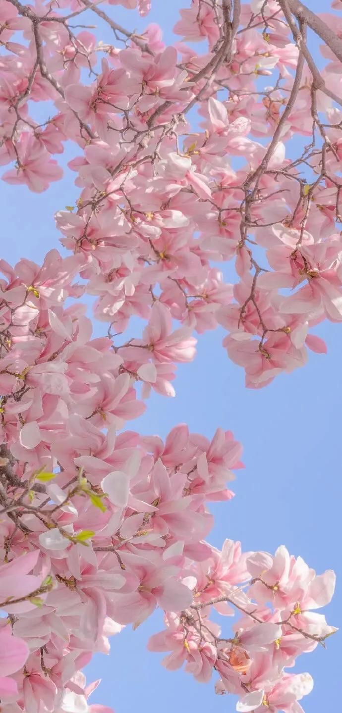 超高清海洋沙滩风景壁纸全屏,湛蓝的海水海滩风景高清壁纸