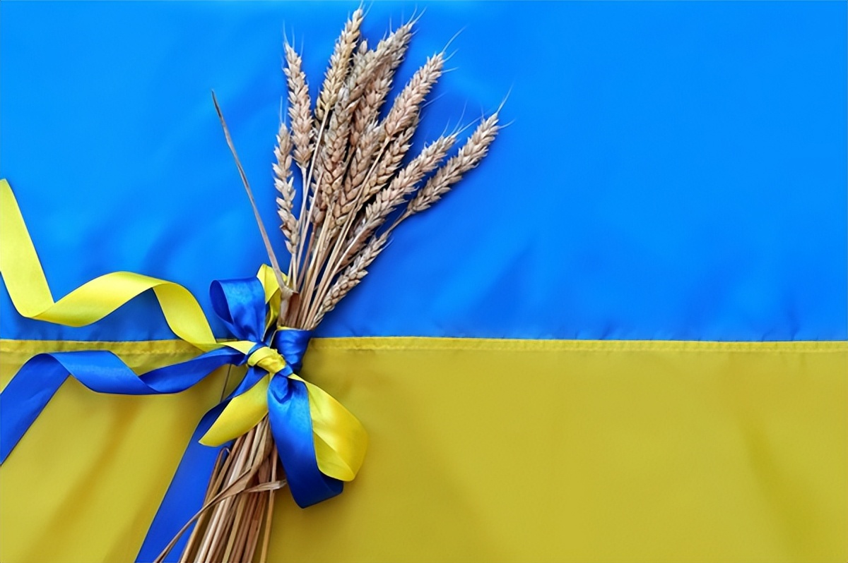 西方帮助乌克兰了吗,俄罗斯帮助乌克兰出口粮食