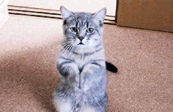 轰炸机为啥那么大,轰炸机有多难打下来