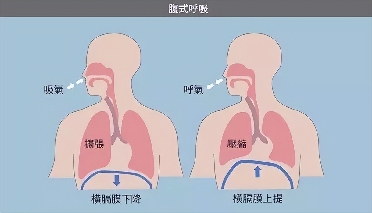 不爱学习怎么提升学习兴趣,学习没动力不想学习怎么办