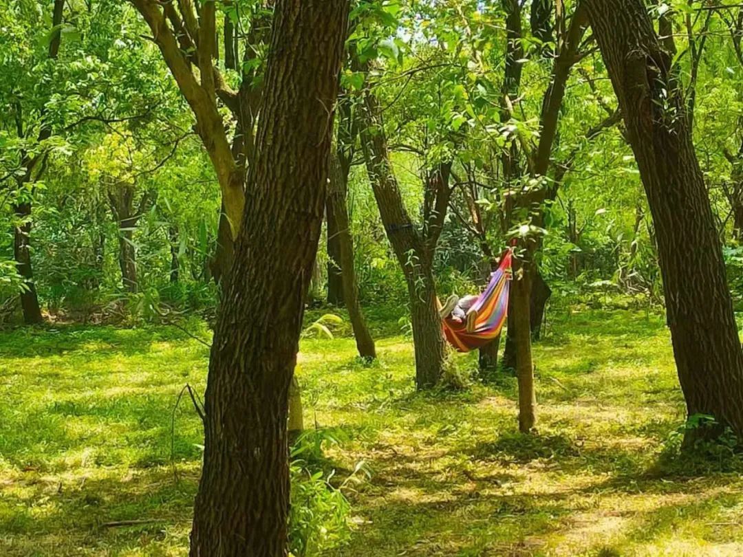苏州自由行旅游团,苏州二日游旅游攻略旅行团