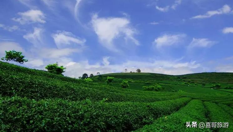 五一上林县自驾游最佳路线,上林县自驾游旅游景点