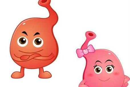 放射科钡餐造影中难吃的粉末到底是什么？