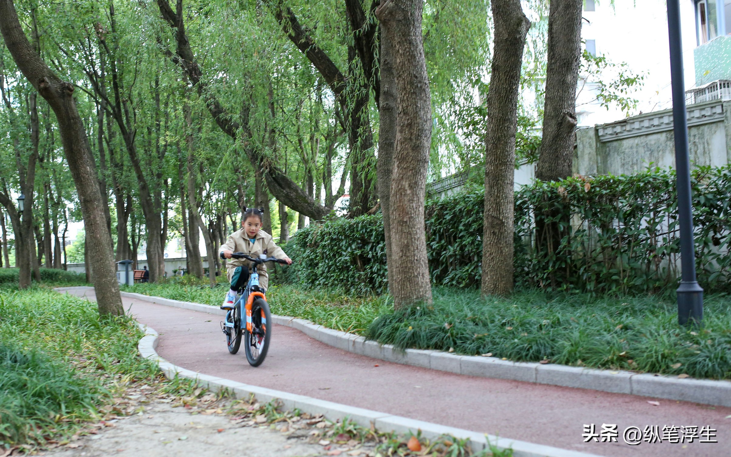 永久儿童自行车22寸单速测评,儿童越野自行车测评表