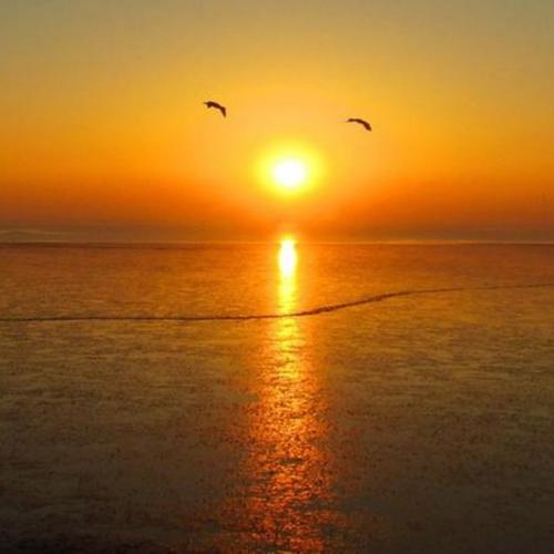 中考满分作文关于兴趣,中考满分作文兴趣是最好的老师