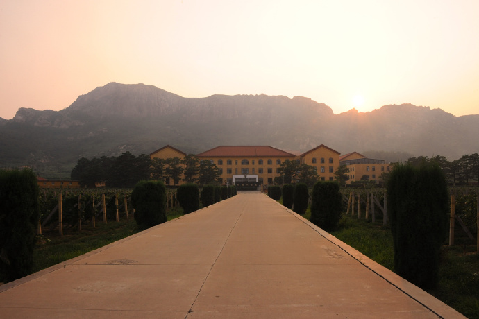 工业旅游，施华洛世奇摆脱疫情和网购冲击的绝招