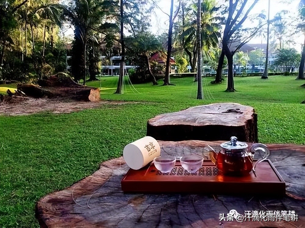 海安曲塘镇杨兆云,杨兆云原创视频