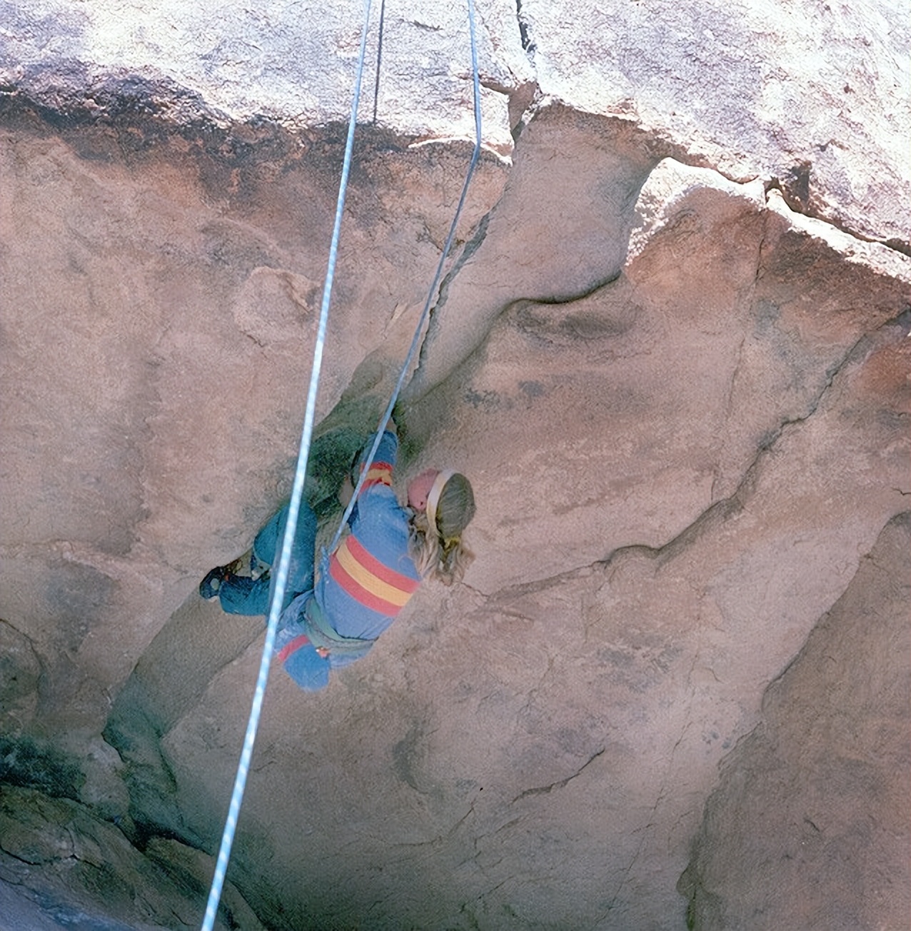 patagonia的总裁,patagonia设计师