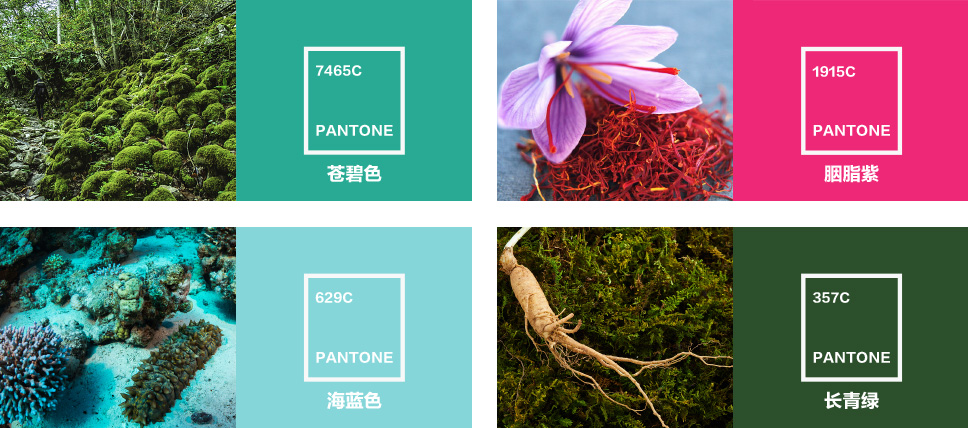 仲景牌系列产品,仲景系列中成药