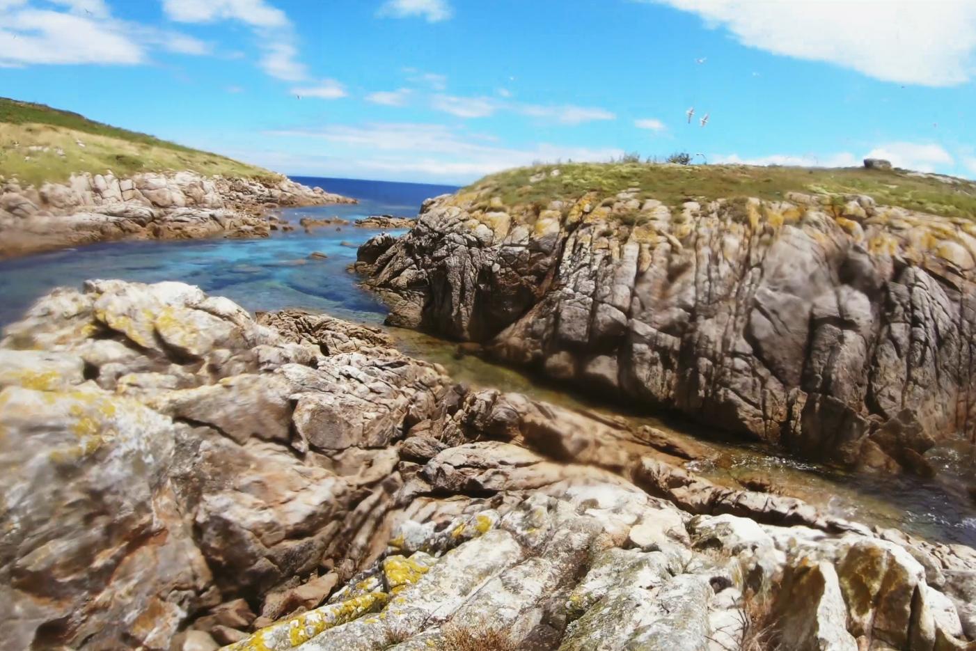 中国小伙荒岛求生大合集,中国小伙的航海日记合集